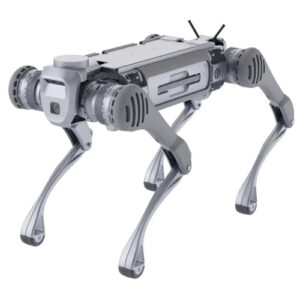 Unitree B2 Quadruped Robot